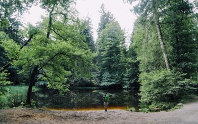 Adventure Therapy – czyli terapia w stylu Indiana Jones